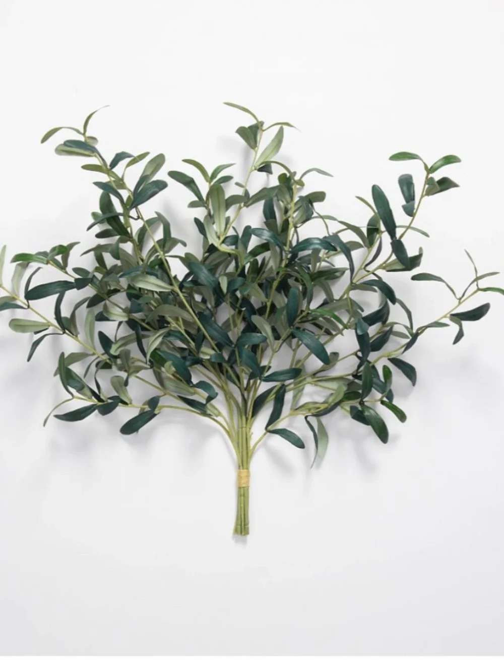 Pottery Barn Faux Olive Branch Bundle NWT
